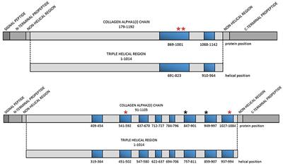 Novel Mutations Within Collagen Alpha1(I) and Alpha2(I) Ligand-Binding Sites, Broadening the Spectrum of Osteogenesis Imperfecta – Current Insights Into Collagen Type I Lethal Regions